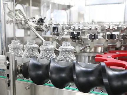 Bottle block cylinder & Infeed Screw