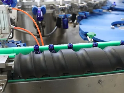Bottle Infeed Screw