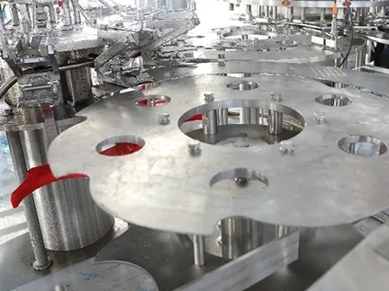 Bottle Infeed