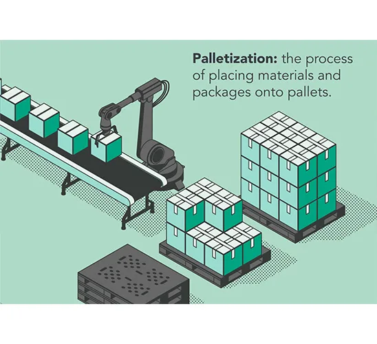 Depalletizing & Palletizing System