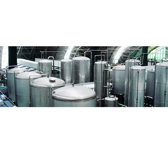 Water Treatment System 