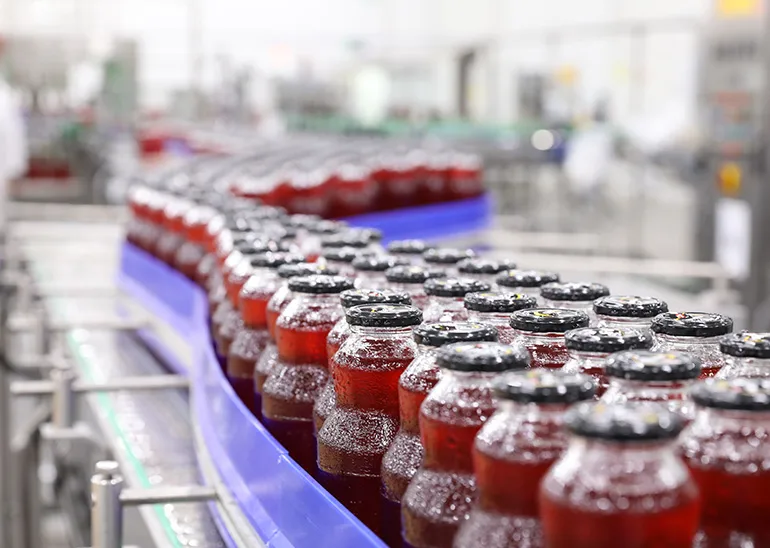 How to Handle and Solve Common Conveyor System Jams and Bottlenecks