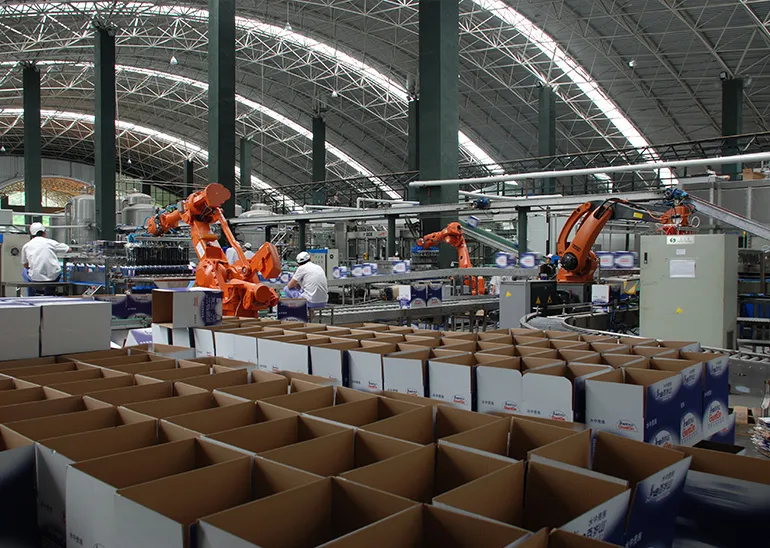 Carton Packing System