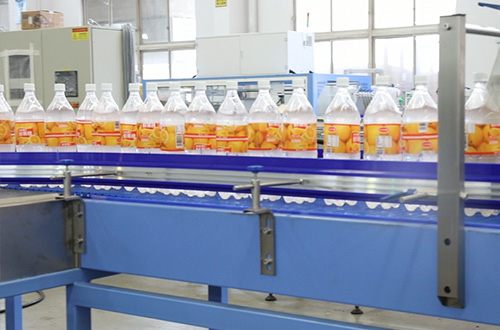 10000BPH 500ml Carbonated Drink Bottling Line