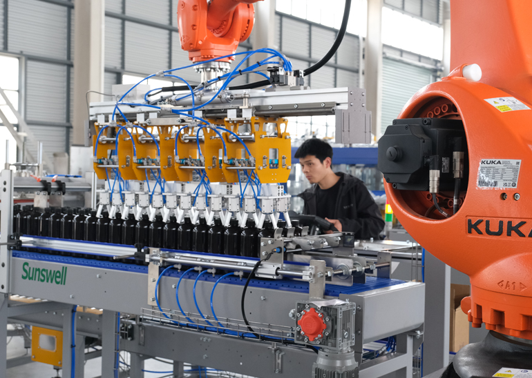 Carton Packing System