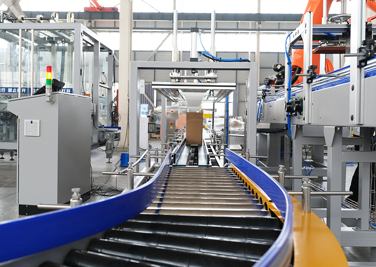 Carton Packing System