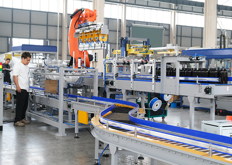 Carton Packing System