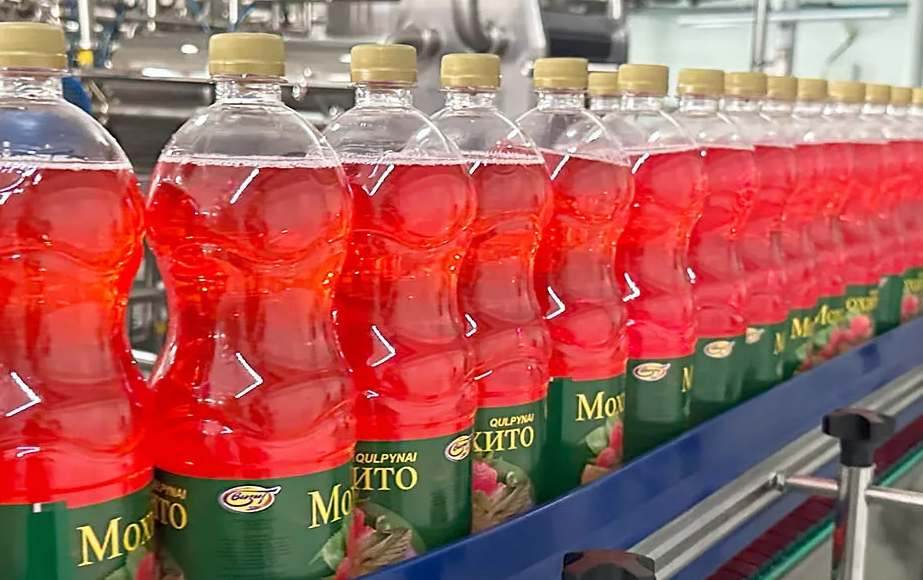 Argentina & Chile Beverage Bottling: Which Market Fits Your Plant?